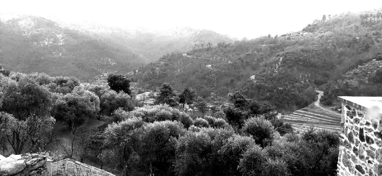 B&B L' Antica Macina Quiliano Buitenkant foto