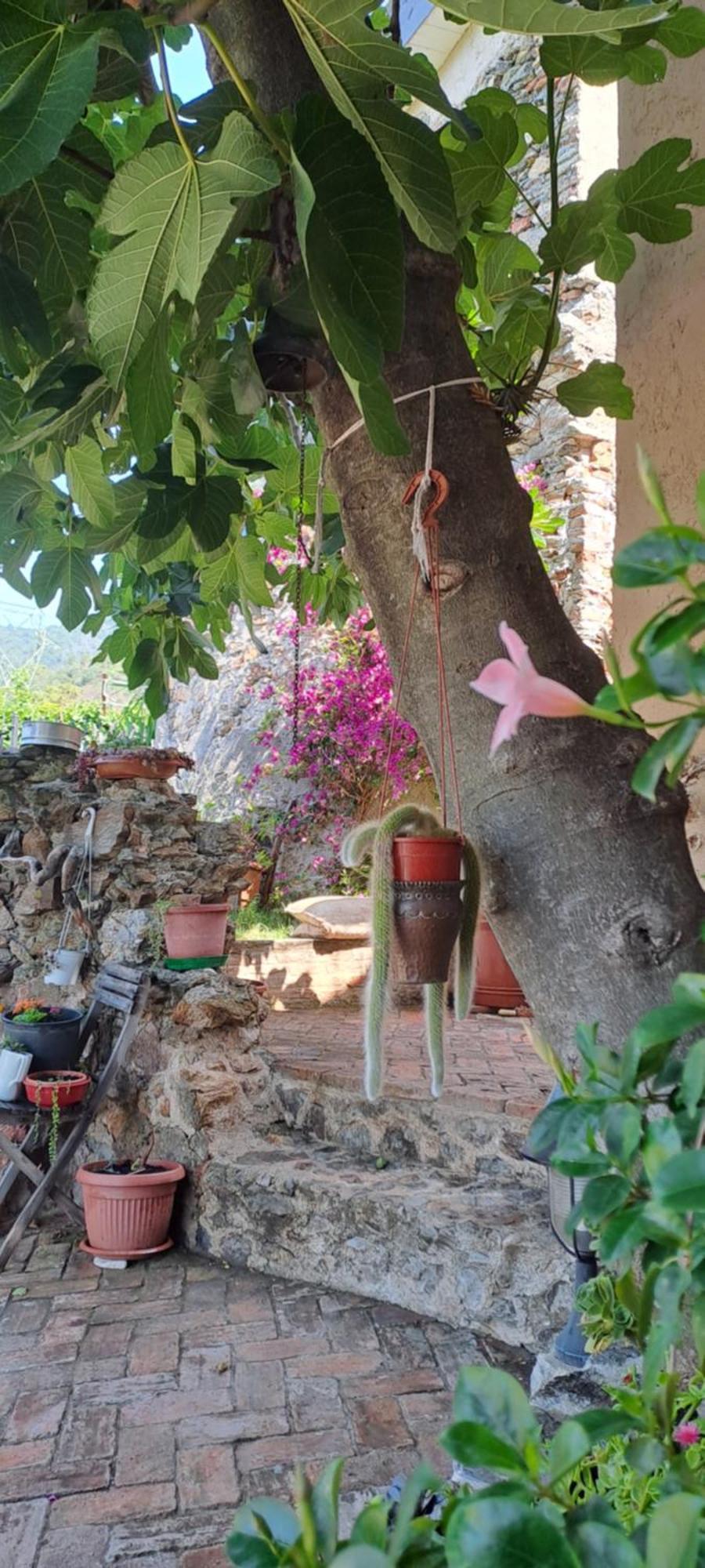 B&B L' Antica Macina Quiliano Buitenkant foto