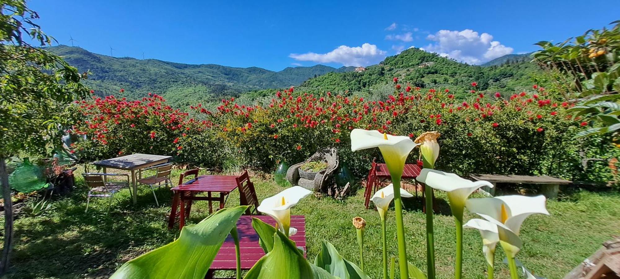 B&B L' Antica Macina Quiliano Buitenkant foto