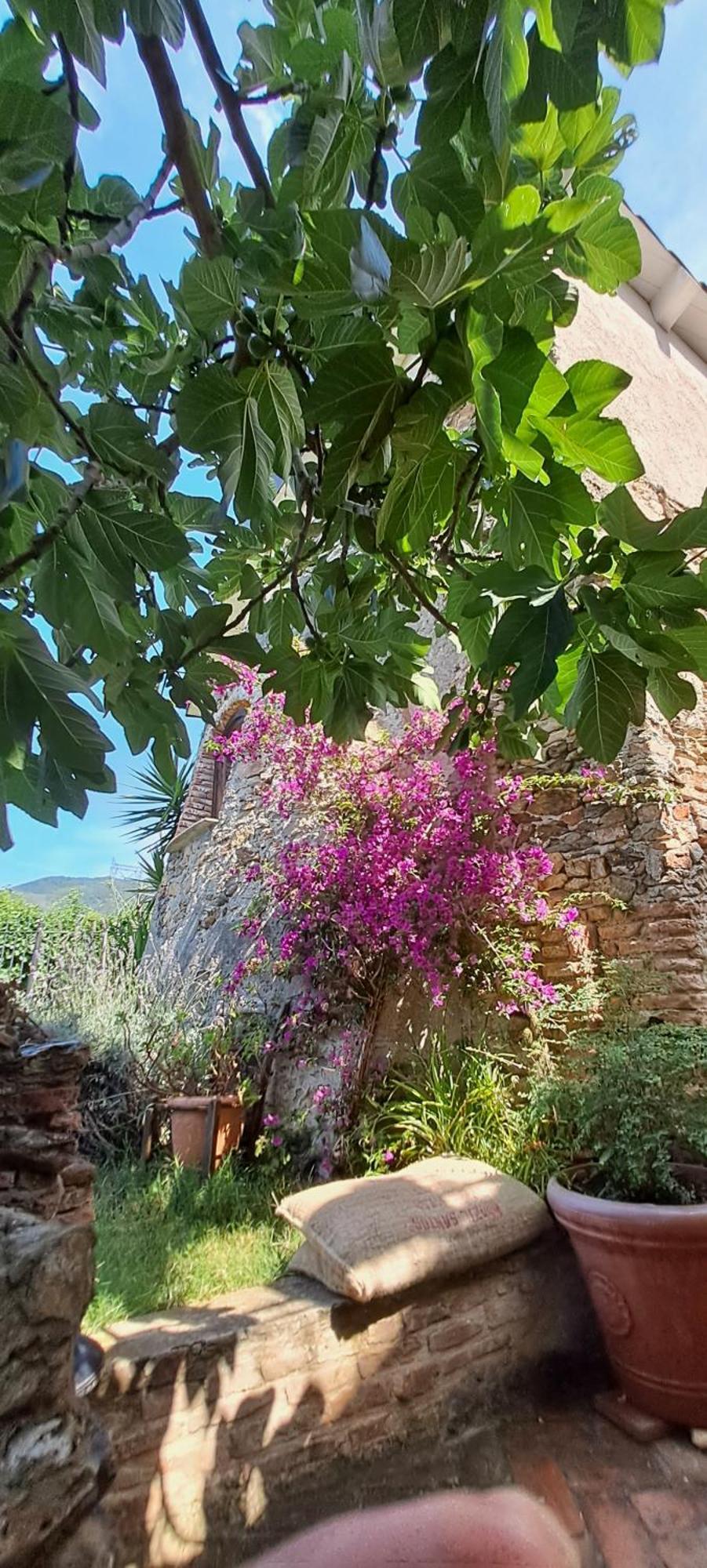 B&B L' Antica Macina Quiliano Buitenkant foto